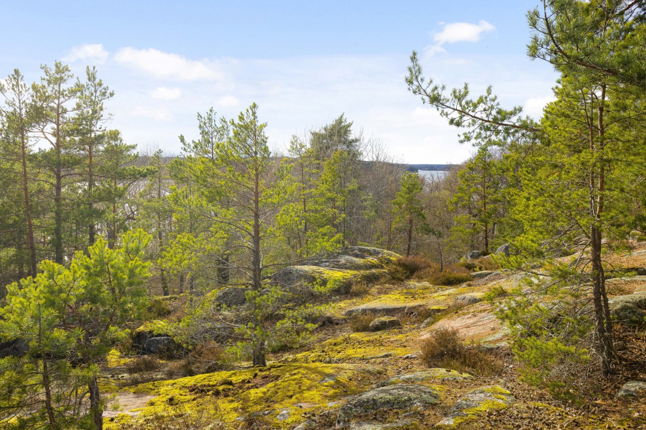 Johan Tillanders väg 37