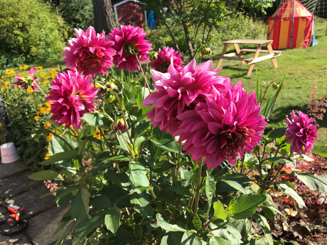 Terrängvägen 23