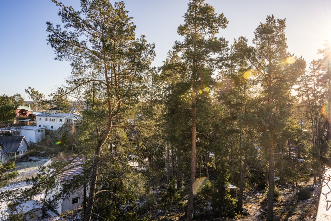 Bergtomtavägen 6