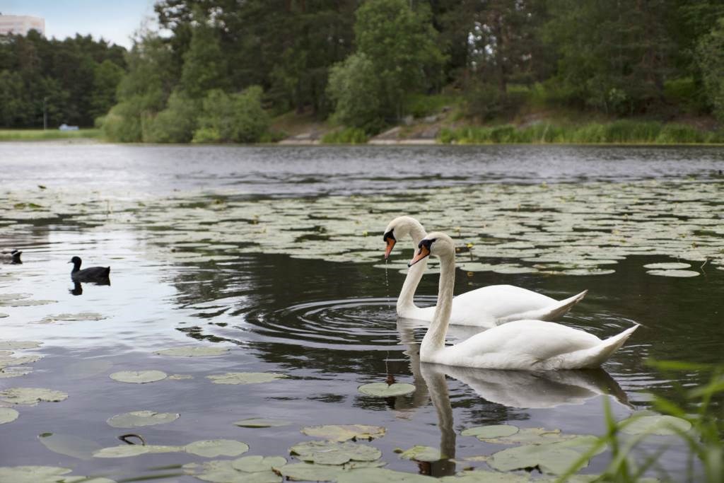 Råckstavägen 27