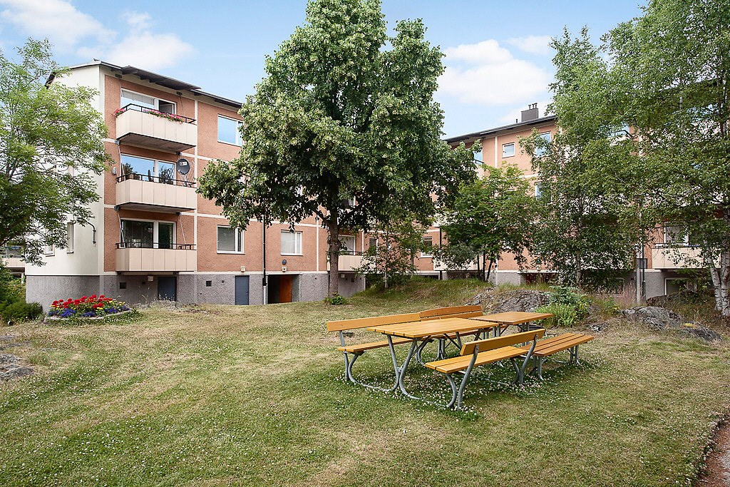 Grönskande innergård!