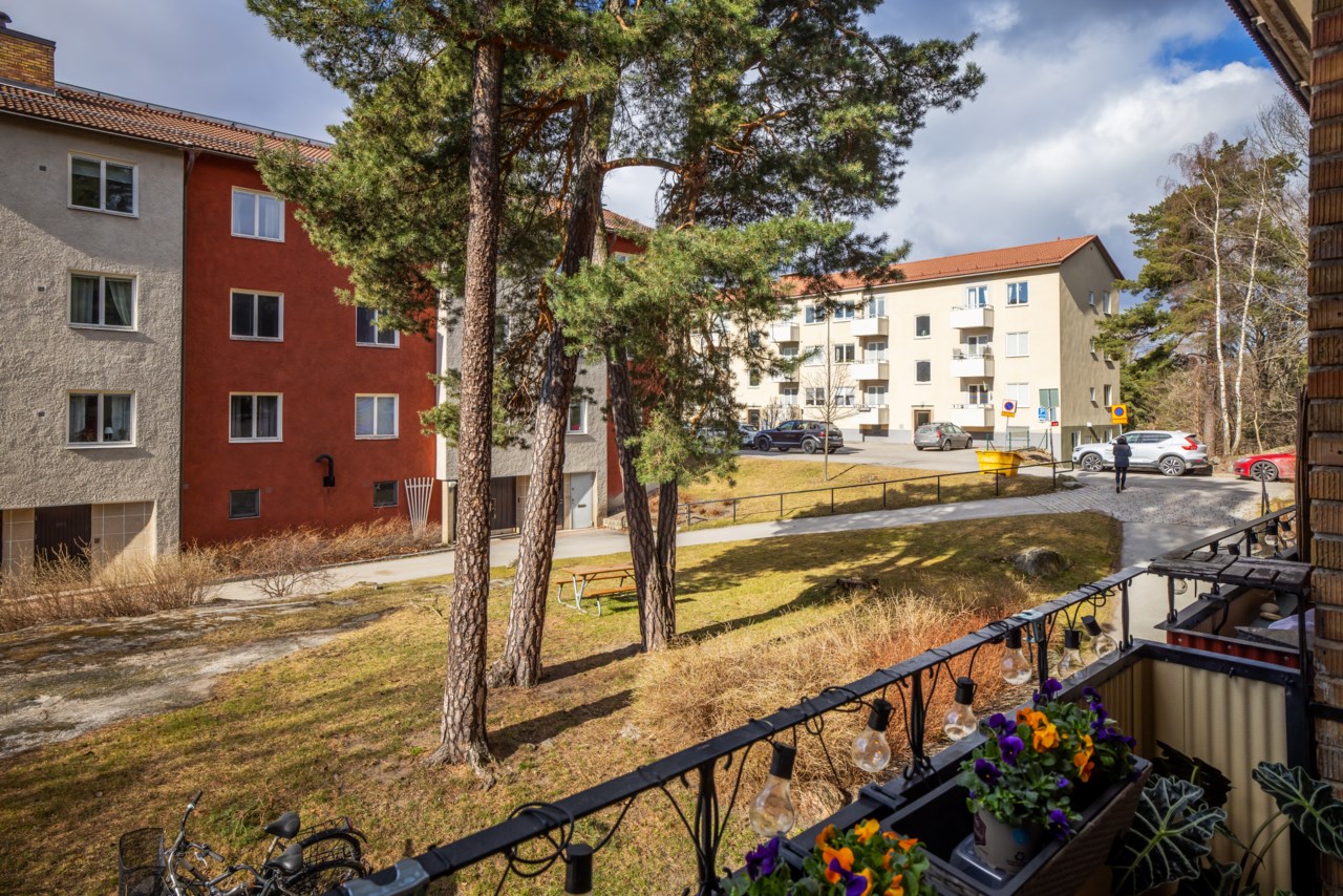 Terrängvägen 73