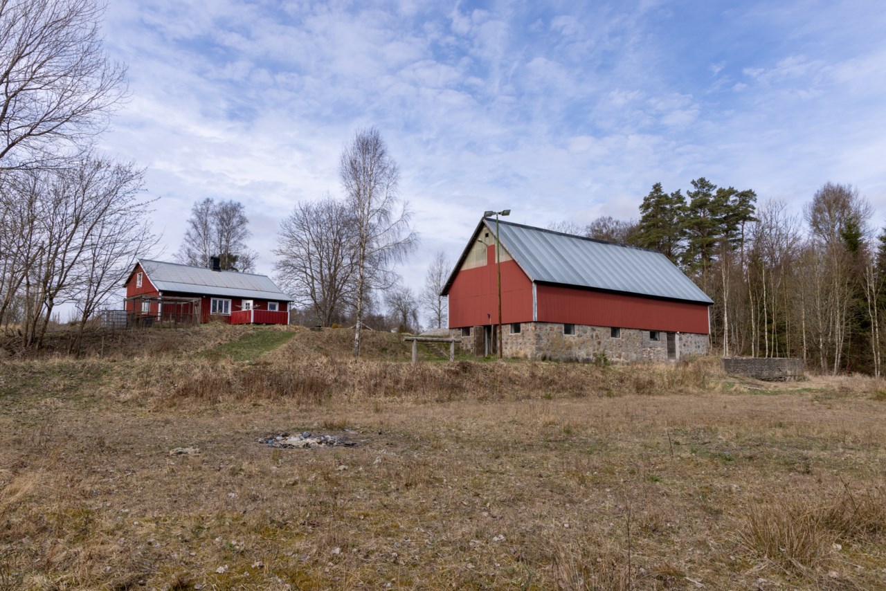 Rås 5