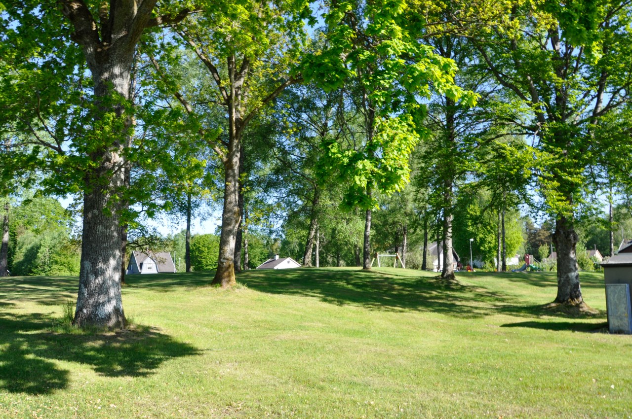 Thims park