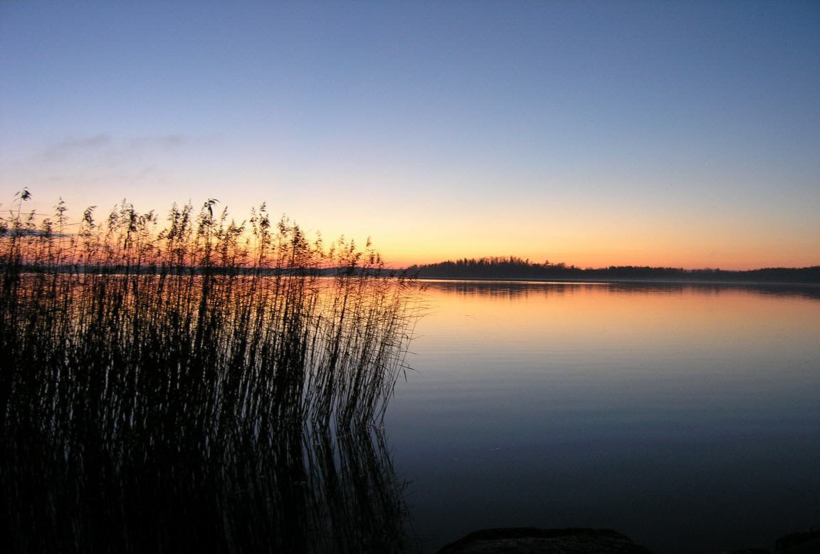 Trehörningen 21