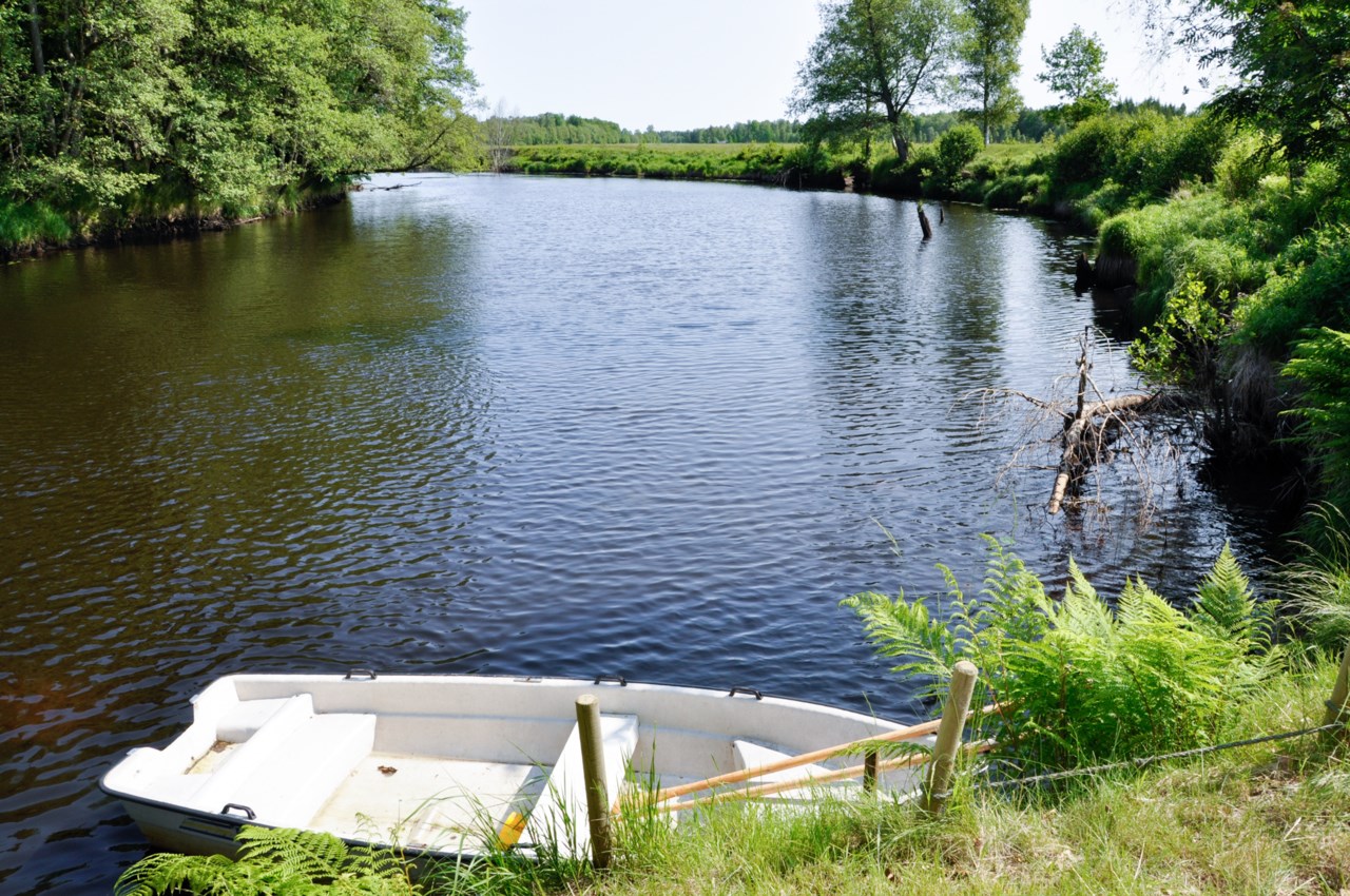 Lagan