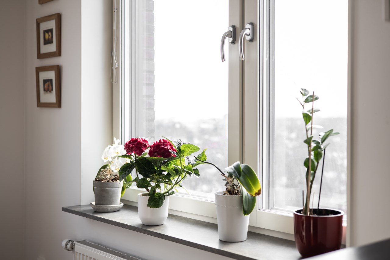 Kamrerarvägen 36